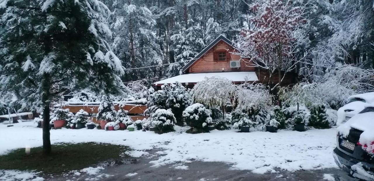 Domek W Ogrodzie Caloroczny 800M Od Parku Wodnego Suntago Ranczo Gold Mania Krzyzowka  Экстерьер фото